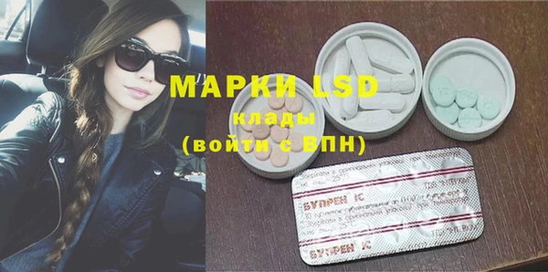 индика Балахна