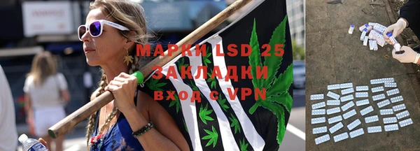 индика Балахна