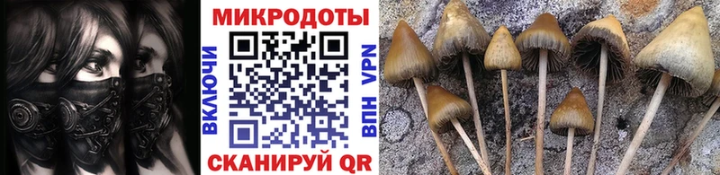 Псилоцибиновые грибы Cubensis наркотики Лаишево
